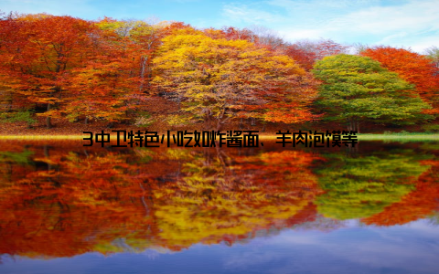 3中卫特色小吃如炸酱面、羊肉泡馍等