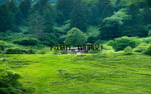 下次旅行, 我们再见!